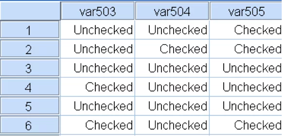 Alchemer Blog: SPSS Variable and Value Labels - SPSS Data Editor example 2.