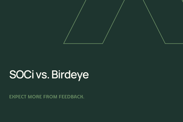 Header that says SOCi vs. Birdeye