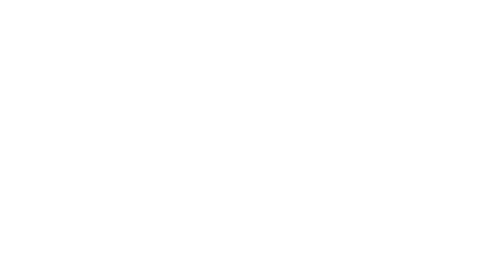 Lids