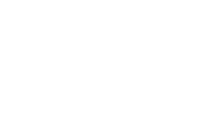 Nascar
