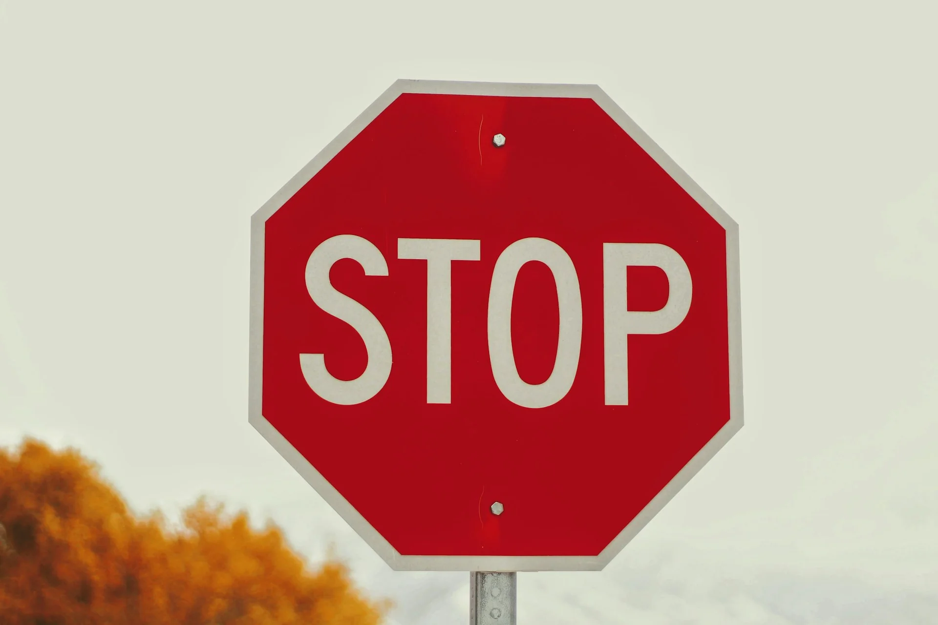 Red sign with "STOP" on it. Header for Survey blog