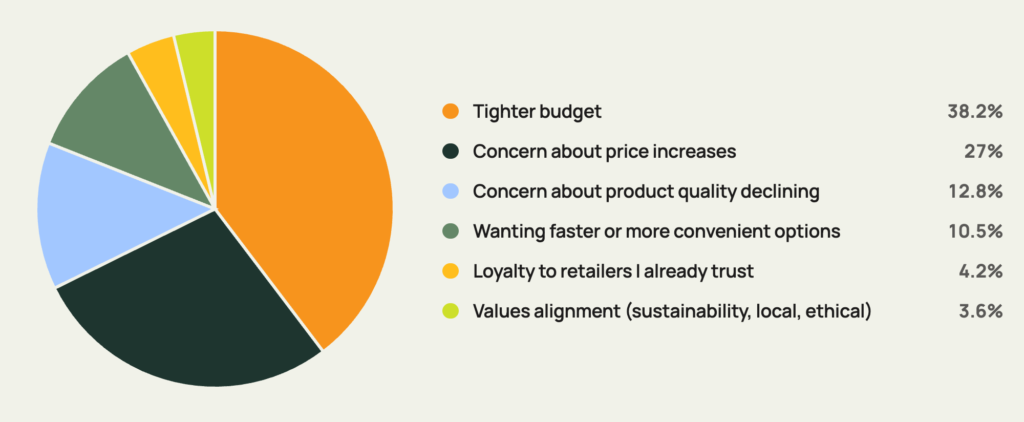 Pie chart showing the top factors influencing the shopping experience, including budget, pricing concerns, product quality, and convenience.